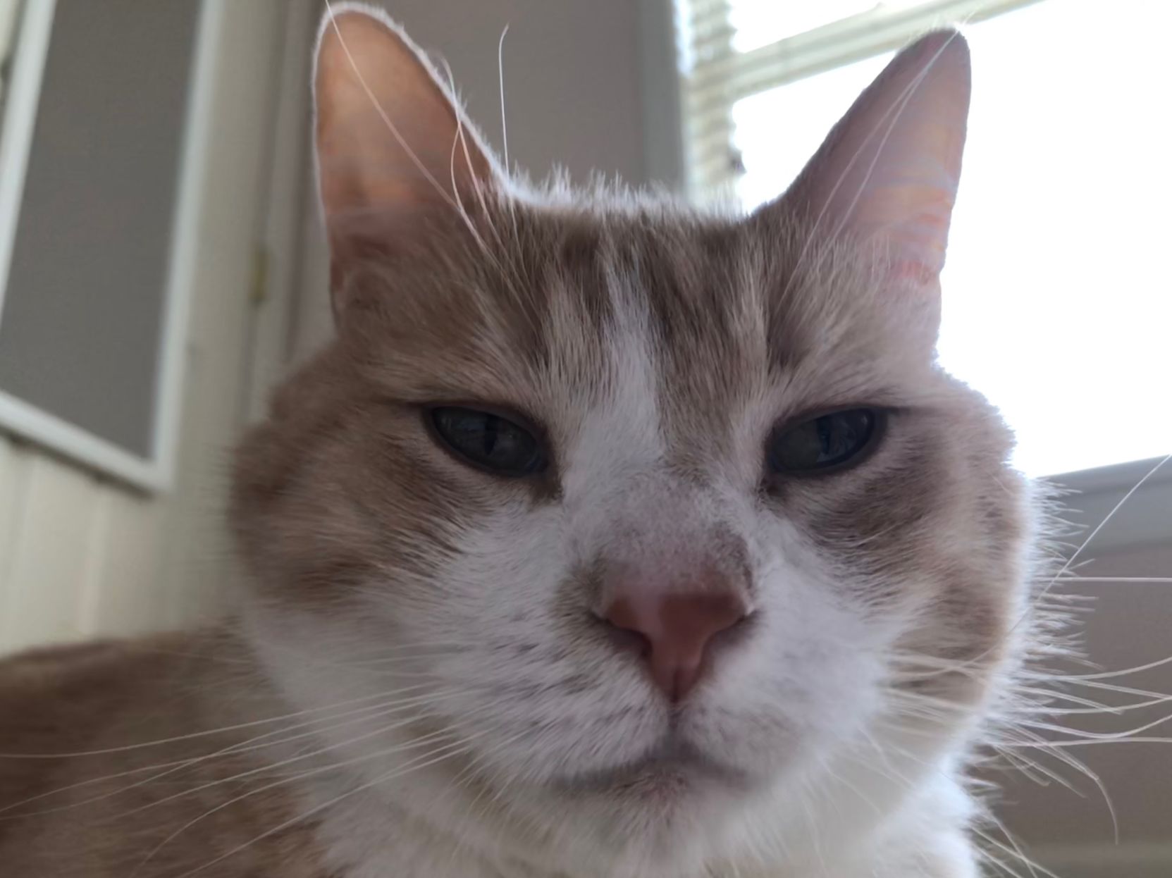 George